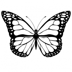Monarch Butterfly Clip Art Free : 10 Monarch Butterfly Clip Art ...