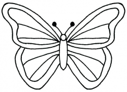 Butterfly Line Drawing Outline Alfalfa Outline Butterfly Wings Line ...