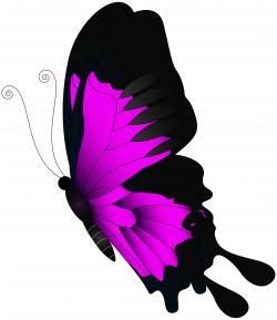 Pink Flying Butterfly PNG Clip Art | Gallery Yopriceville - High ...