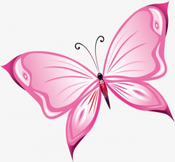 Hand Painted Pink Butterfly, Butterfly Clipart, Hand ...