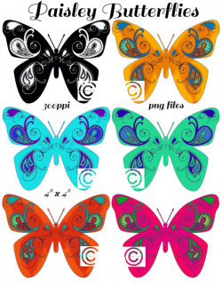 Paisley Butterflies Graphics Butterfly Clipart Butterflies