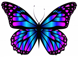 Blue and Purple Butterfly PNG Clipar Image | Gallery Yopriceville ...