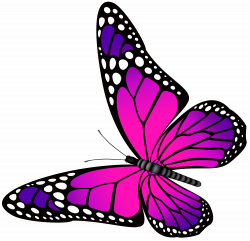 Butterfly Pink and Purple Transparent PNG Clip Art Image | Gallery ...