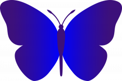 Black and White Butterfly Outline | butterfly simple blue cartoon ...