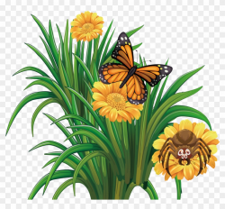Monarch Butterfly Flower - Summer Flower Flowers With ...