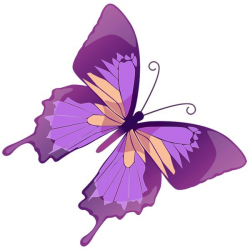 113 best Motýle images on Pinterest | Butterflies, Butterfly art and ...