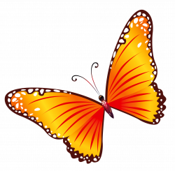 Transparent Orange Butterfly PNG Clipart | Gallery Yopriceville ...