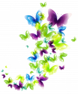 Deco Butterflies PNG Clipart Picture | Gallery Yopriceville - High ...