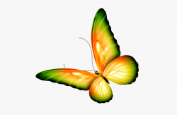 Butterfly Png Clipart Yellow And Green Transparent ...