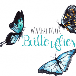Watercolor Butterfly Clip Art Image Pack Clipart Digital