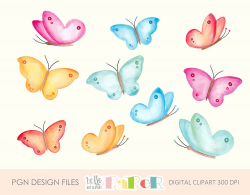 butterfly watercolor ~ Illustrations ~ Creative Market