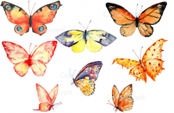 Watercolor Clipart Orange Butterfly ~ Illustrations ~ Creative Market