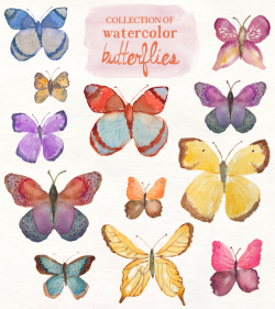 Watercolor Butterfly Clip Art