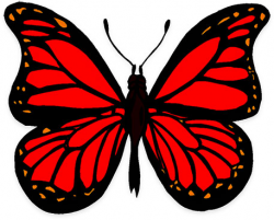 Butterfly Graphics - Animated Butterfly Graphics