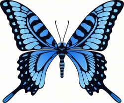 Butterfly Gif Image Art Collection at Best Animations | Butterflies ...