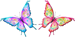 Beautiful Butterfly Animated Gif Images at Best Animations