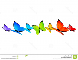 Unique Rainbow Butterfly Clipart Banner Drawing - Vector Art Library