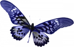 Blue Transparent Butterfly Clipart | Gallery Yopriceville - High ...
