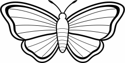 Butterfly Clip Art Black And White | Clipart Panda - Free Clipart Images
