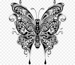 Butterfly Black And White clipart - Butterfly, transparent ...