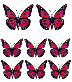 Kimberly | Butterfly, Printable butterfly and Face paintings