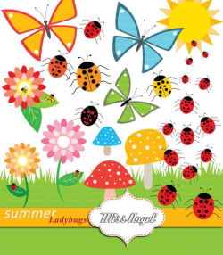 Ladybugs, Flowers, Mushrooms, Butterflies CLIPART. Summer bugs ...