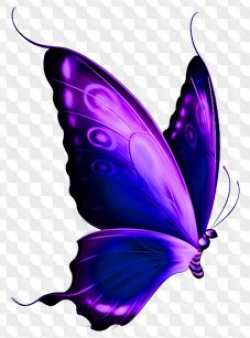 PNG Butterfly Collection with transparent background, many ...