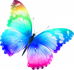 Large Transparent Multi Color Butterfly PNG Clipart | Gallery ...