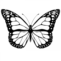 butterfly printable - Incep.imagine-ex.co