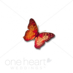 Colorful Butterfly Clipart | Wedding Bird and Butterfly Clipart