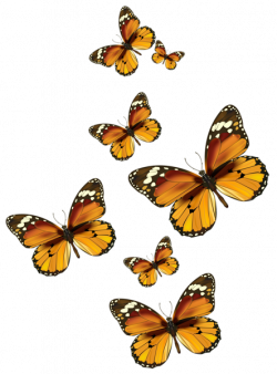 Butterflies Vector PNG Clipart Picture | Digital Download Scrap Book ...