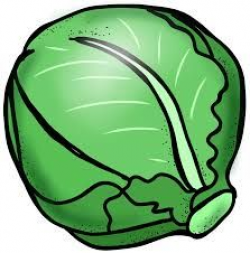 Image result for cabbage cartoon png | MyImage | Pinterest