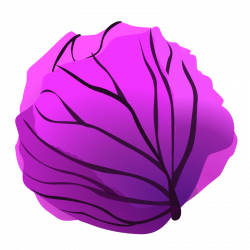 Clipart - red cabbage