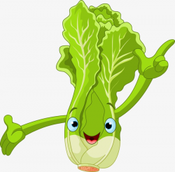Chinese Cabbage, Cartoon, Lovely PNG Image and Clipart for Free Download