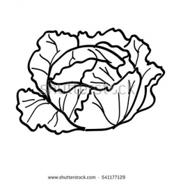 cabbage clipart black and white 4 | Clipart Station