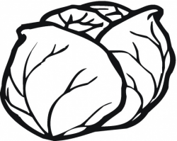 cabbage clipart black and white 2 | Clipart Station