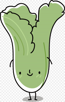 Bok choy Vegetable Food Napa cabbage Cartoon - Cartoon cabbage png ...