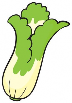 Cabbage Clipart bok choy - Free Clipart on Dumielauxepices.net