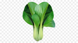 Bok choy Chinese cabbage Leaf vegetable Clip art - bok choy png ...