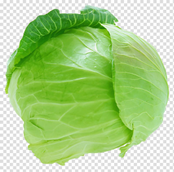 Lettuce , Savoy cabbage Coleslaw Brussels sprout Cauliflower ...