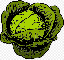 Savoy cabbage Vegetable Clip art - veggies png download - 1280*1180 ...