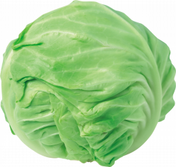 Cabbage PNG image free download images