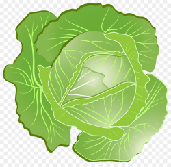 Green Leaf Background clipart - Cabbage, Vegetable, Green ...