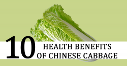 10 Health Benefits of Chinese Cabbage – One Minute Juice
