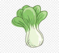 Chinese cabbage Cartoon Vegetable - Chinese cabbage,vegetables png ...