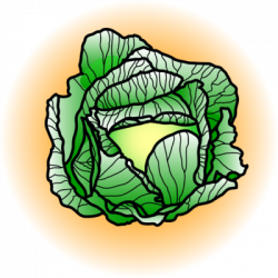 Image: Cabbage | Food Clip Art | Christart.com
