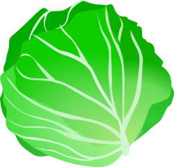 Cabbage Clip Art at Clker.com - vector clip art online, royalty free ...