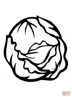 Cabbages coloring pages | Free Coloring Pages