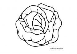 Cabbage vegetable coloring page for kids, printable | Educational ...