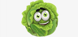 Cabbage, Green, Cartoon PNG Image and Clipart for Free Download